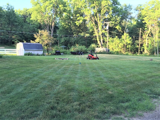 view of yard with a storage shed and an outdoor structure