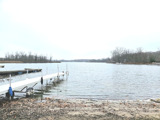 dock area featuring a water view