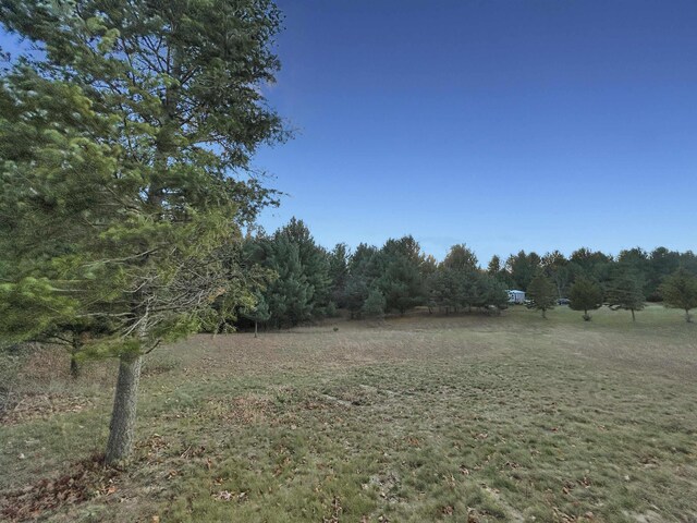 Baggs Rd, Williamsburg, MI 49690 - photo 11