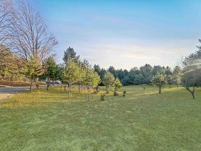Baggs Rd, Williamsburg, MI 49690 - photo 2