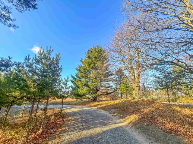 Baggs Rd, Williamsburg, MI 49690 - photo 3