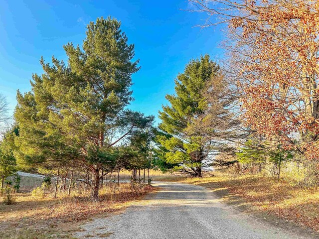 Baggs Rd, Williamsburg, MI 49690 - photo 4