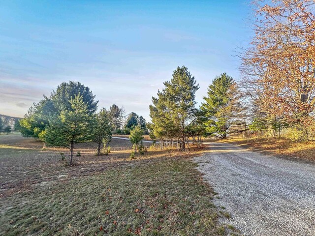 Baggs Rd, Williamsburg, MI 49690 - photo 5