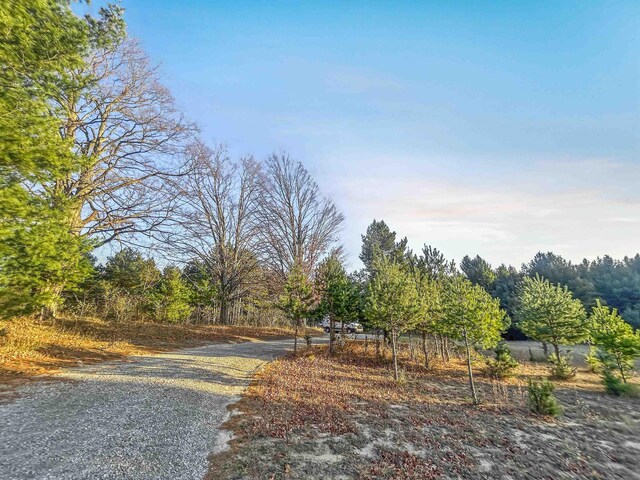 Baggs Rd, Williamsburg, MI 49690 - photo 6