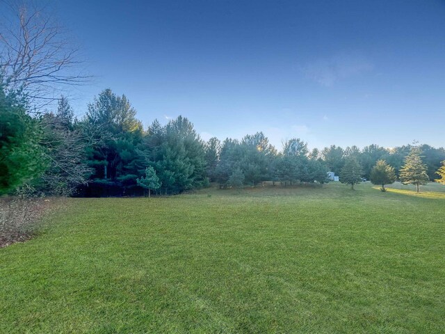 Baggs Rd, Williamsburg, MI 49690 - photo 7