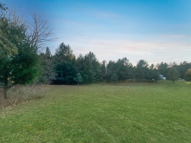 Baggs Rd, Williamsburg, MI 49690 - photo 8