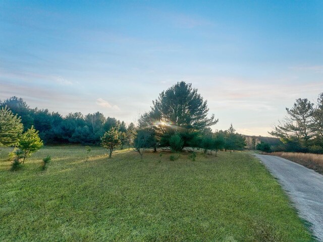 Baggs Rd, Williamsburg, MI 49690 - photo 9