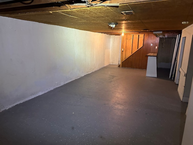 basement with wooden walls