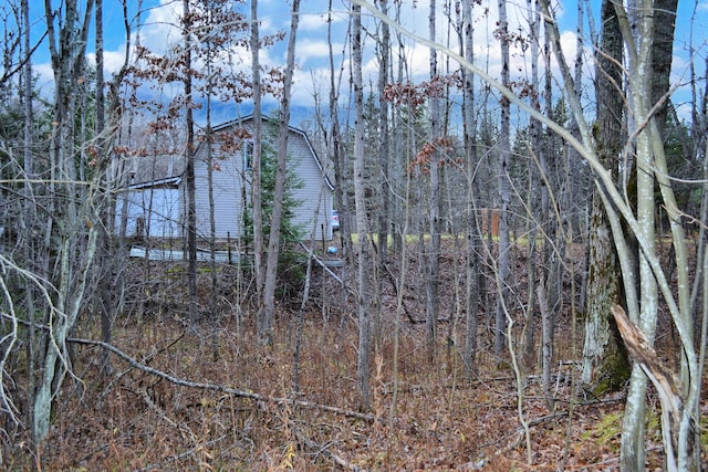 view of local wilderness