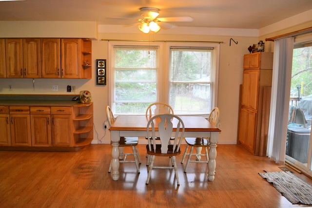 dining space with ceiling fan and light hardwood / wood-style flooring