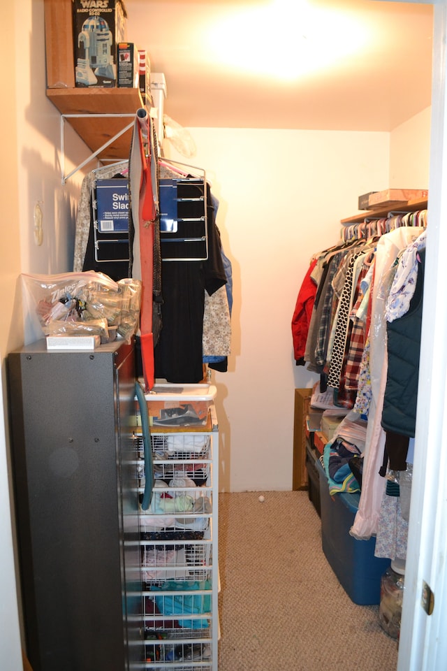 walk in closet with carpet