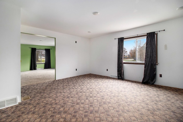 carpeted spare room with a wealth of natural light