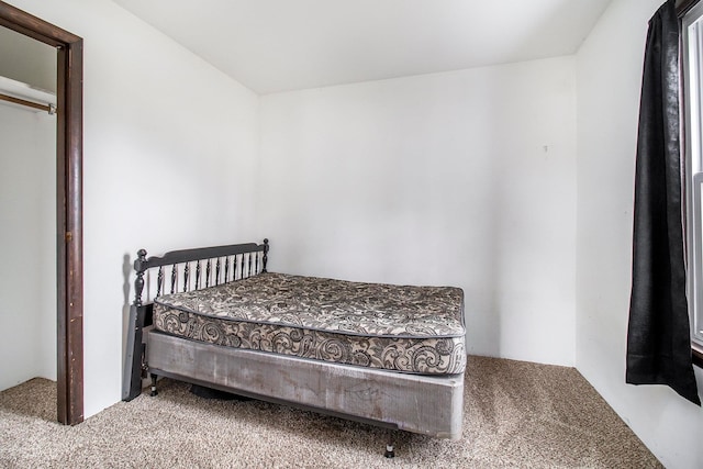 bedroom with carpet flooring