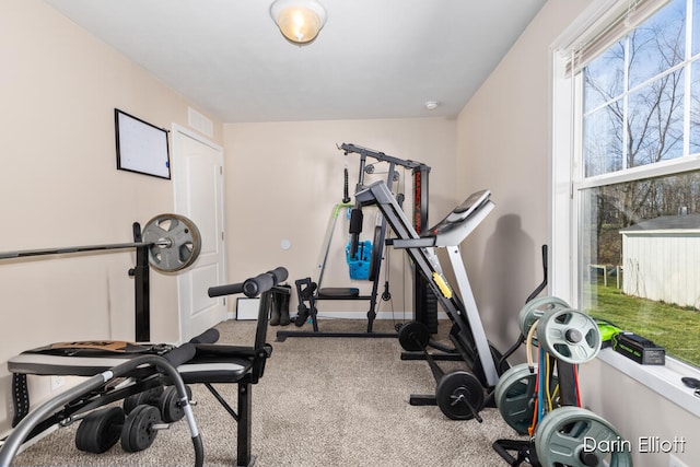 workout room with carpet