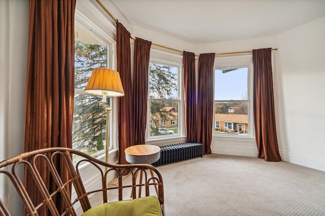 sitting room with carpet flooring and radiator heating unit