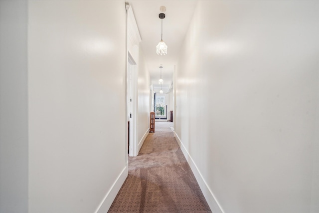 corridor with light colored carpet