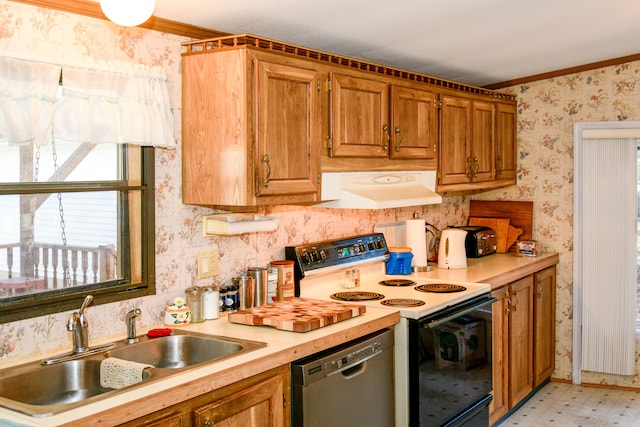 kitchen featuring exhaust hood, white range with electric cooktop, sink, stainless steel dishwasher, and ornamental molding