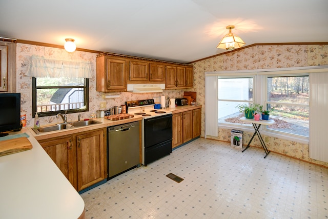 kitchen featuring dishwasher, sink, a healthy amount of sunlight, range with electric stovetop, and lofted ceiling