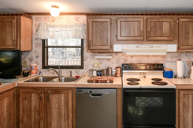 kitchen with ventilation hood, dishwasher, sink, and white electric stove