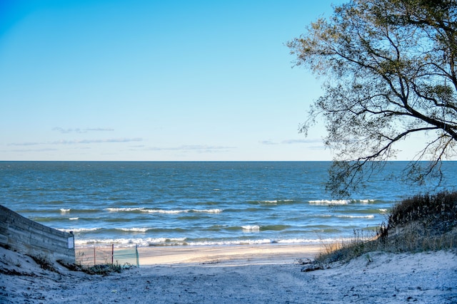 water view featuring a beach view