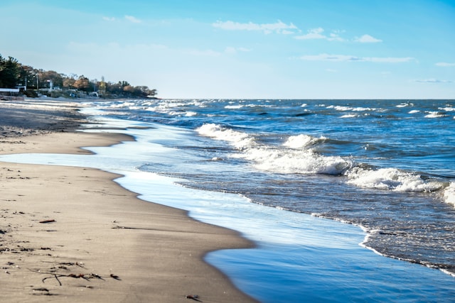 property view of water with a beach view