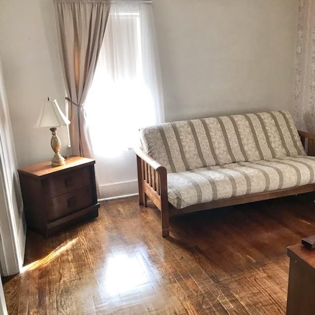 living area featuring dark wood-type flooring