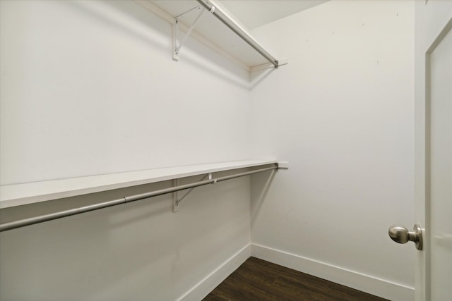 walk in closet featuring dark hardwood / wood-style flooring