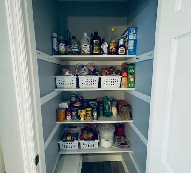 view of pantry