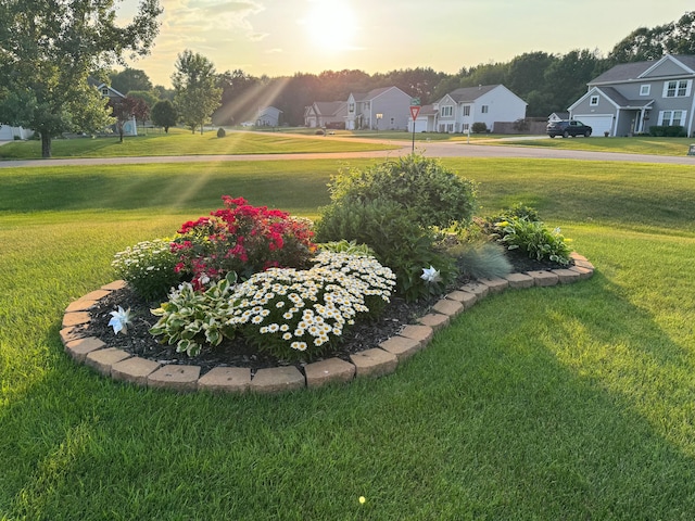 view of yard at dusk