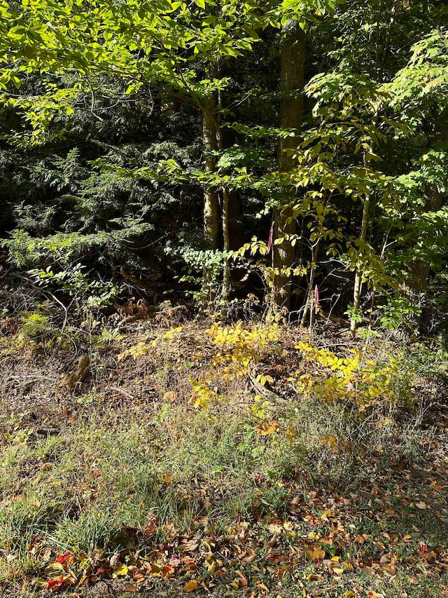 Listing photo 2 for LOT10BLOCKC Shorewood Dr, Frankfort MI 49623