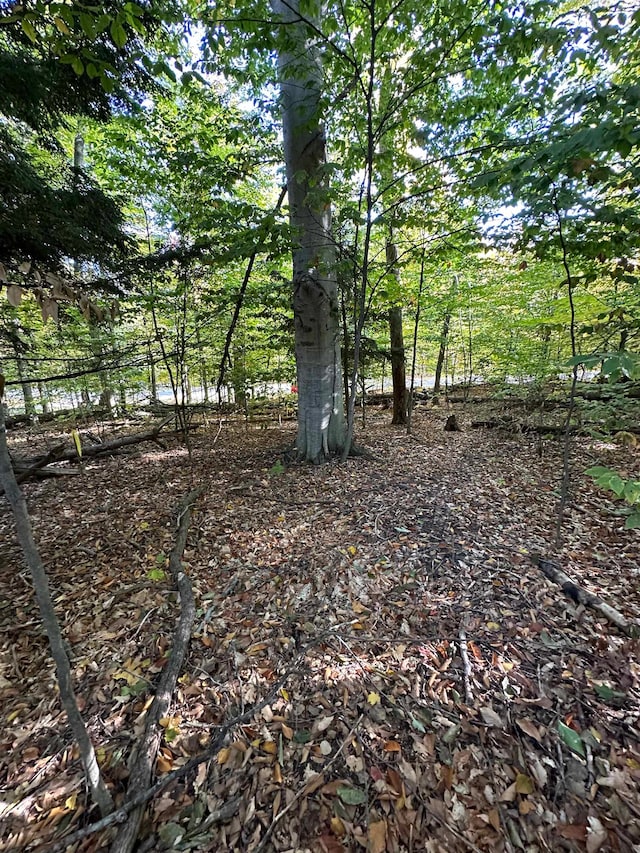 Listing photo 3 for LOT10BLOCKC Shorewood Dr, Frankfort MI 49623