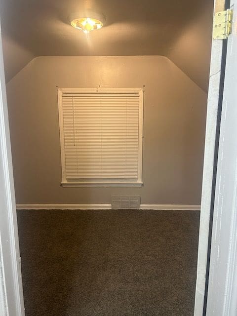 bonus room featuring carpet and vaulted ceiling