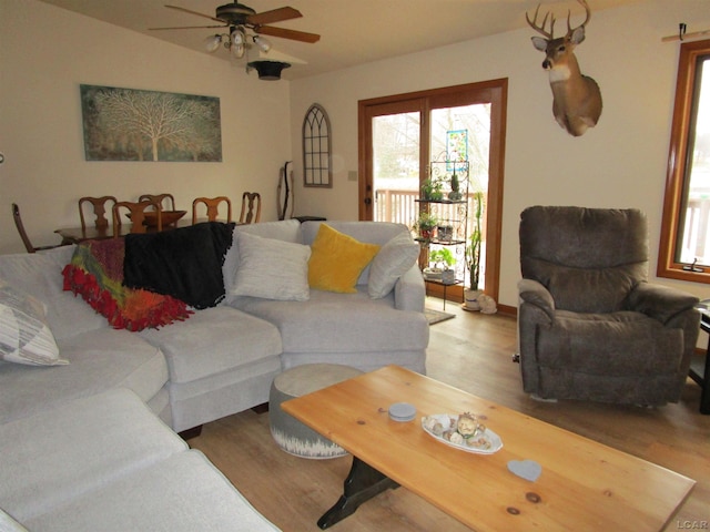 living room with ceiling fan and light hardwood / wood-style flooring