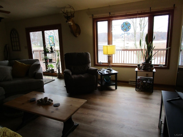 living room featuring hardwood / wood-style floors