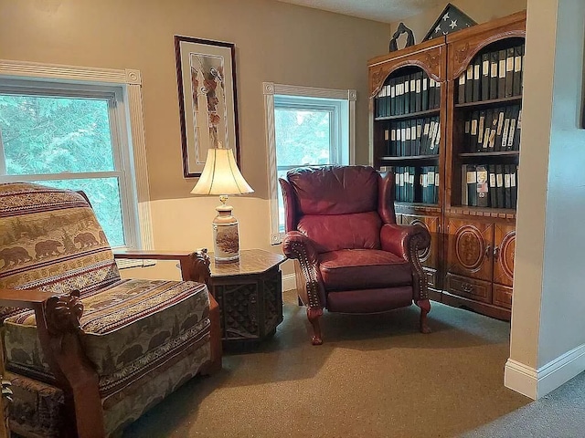 living area with carpet flooring