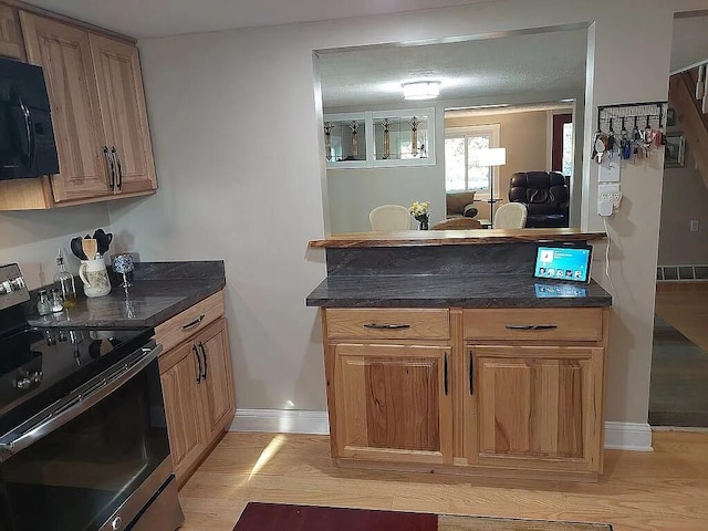 kitchen featuring light hardwood / wood-style floors and stainless steel electric range