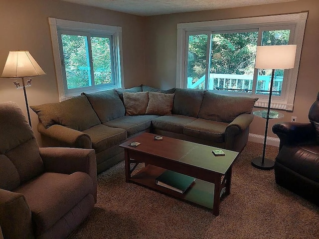 living room featuring carpet flooring and a textured ceiling