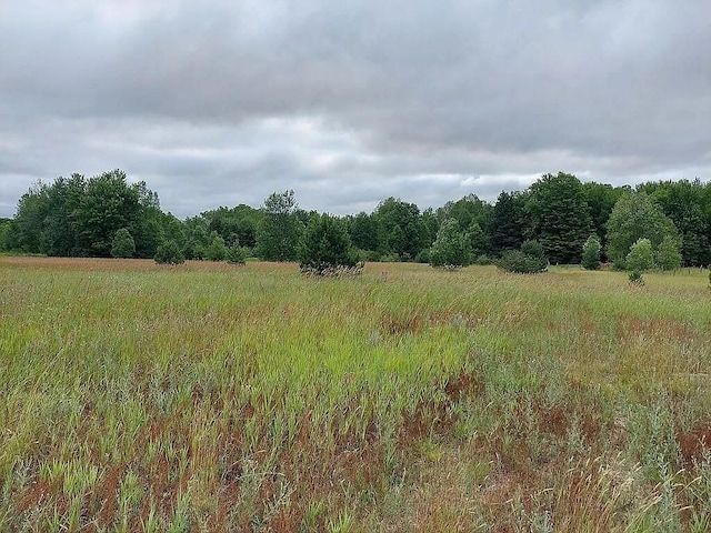 view of local wilderness featuring a rural view