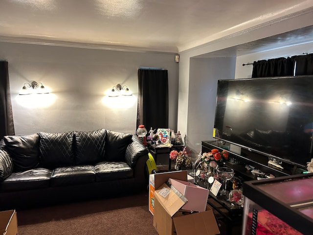 12644 Corbett St, Detroit, MI 48213 - carpeted living room featuring crown molding