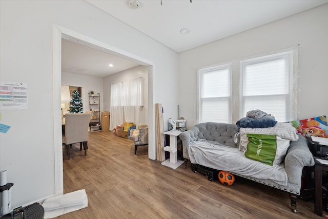 living area featuring wood-type flooring and a wealth of natural light