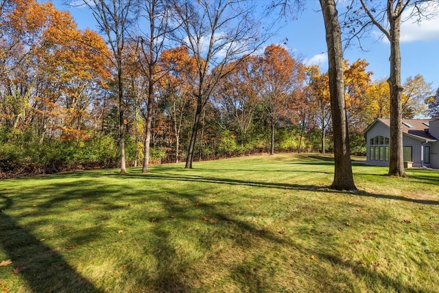 view of yard