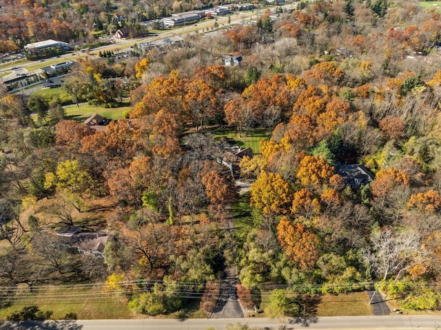 bird's eye view