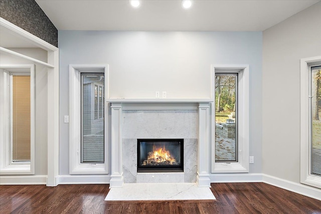 room details with a premium fireplace and wood-type flooring