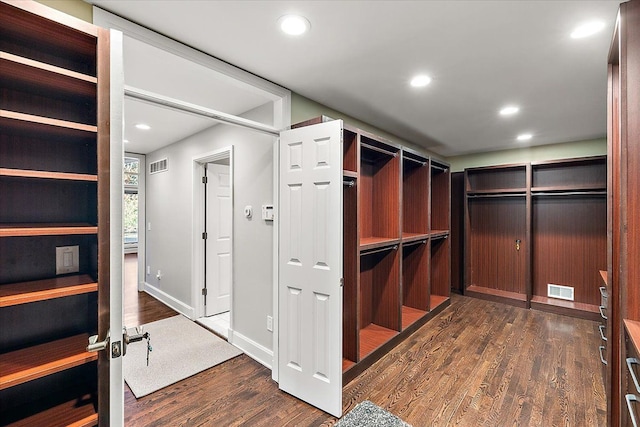 walk in closet featuring dark hardwood / wood-style flooring