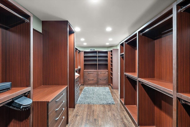 spacious closet featuring wood-type flooring