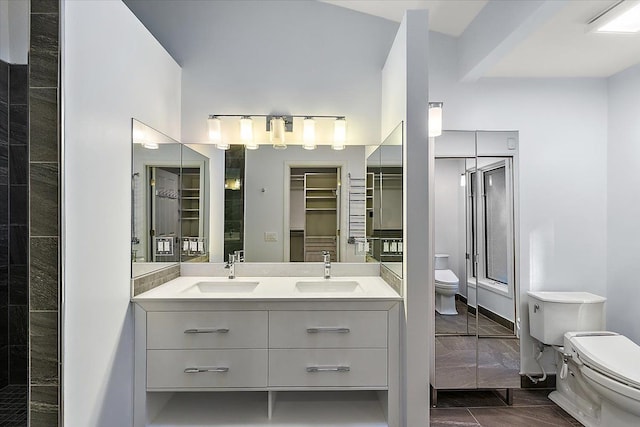 bathroom with vanity, toilet, and walk in shower