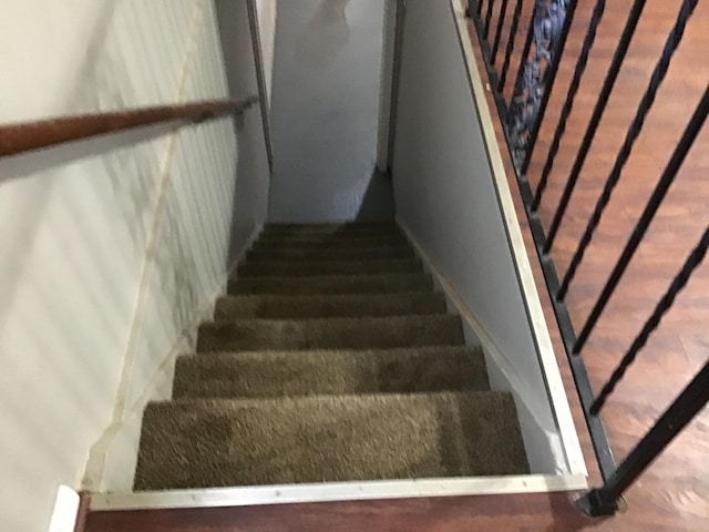 stairway with carpet flooring