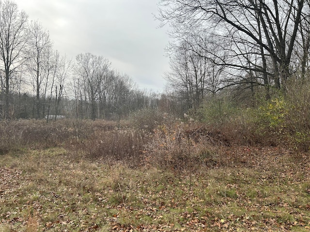 28200 Sherwood Rd, Belleville, MI 48111 - photo 10