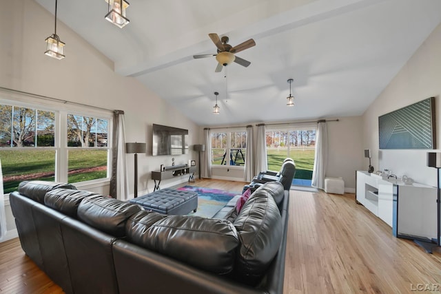 living room with ceiling fan, plenty of natural light, high vaulted ceiling, and light hardwood / wood-style floors