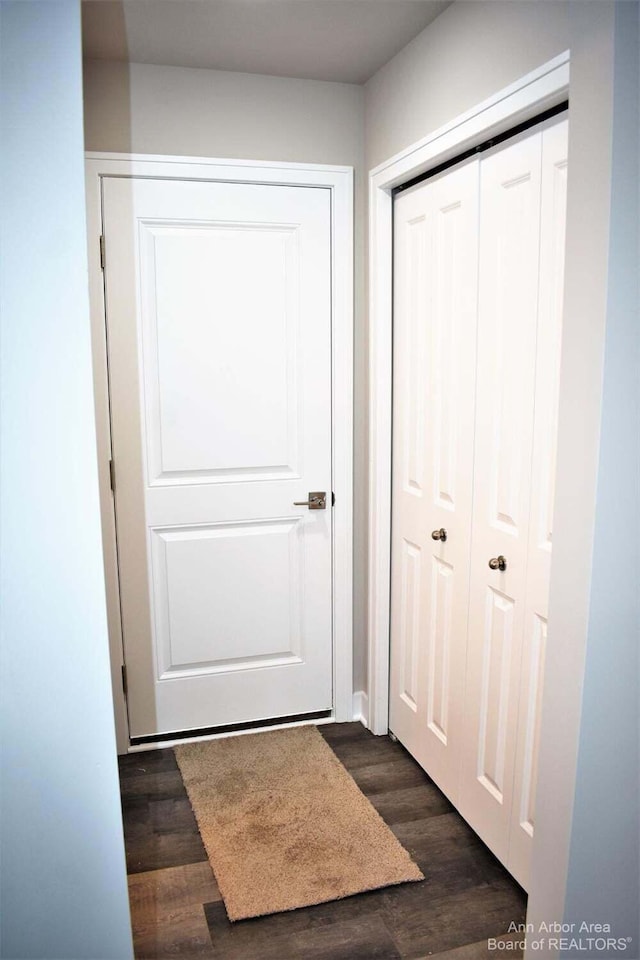 doorway featuring dark wood-type flooring
